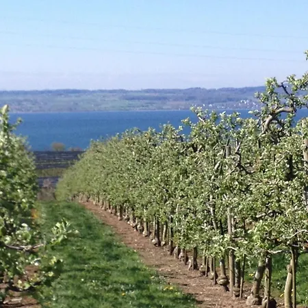 게스트하우스 Kippenhausen 이멘슈타트암보덴지