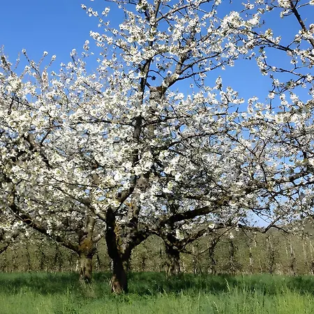 게스트하우스 Kippenhausen